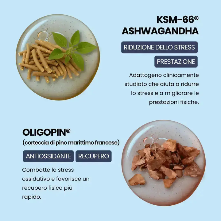 TESTOWIT - Regolazione ormonale 120 cps NEW! PROMO ORBIS Lifestyle