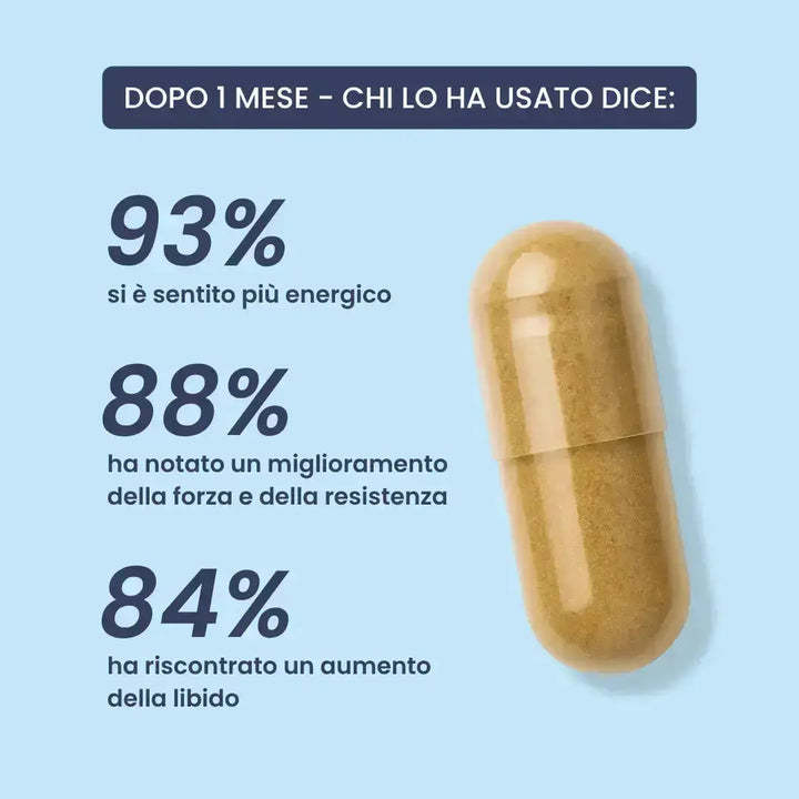 TESTOWIT - Hormonreglering 120 cps NYHET! PROMO ORBIS Livsstil